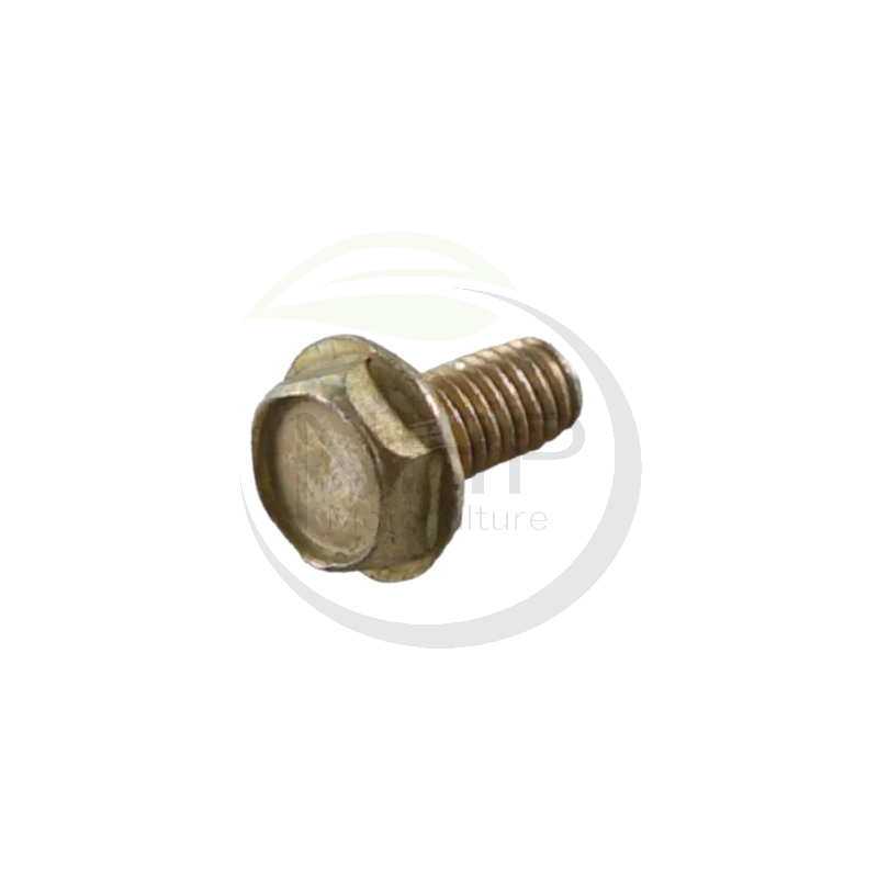 vis-fixation-briggs-stratton-690664-93572-94602-93804-94874-93246