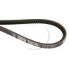 Courroie crantée OPTIBELT AVX 13 X 1050, AVX131050
