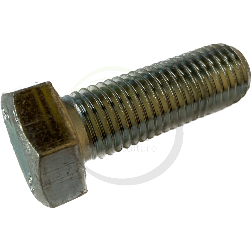 Vis uni 5739 M16x45 DELMORINO 40100035