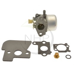 Carburateur moteur Briggs et Stratton 698056