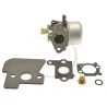 Carburateur moteur Briggs et Stratton 698056