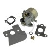Carburateur moteur Briggs et Stratton 694205