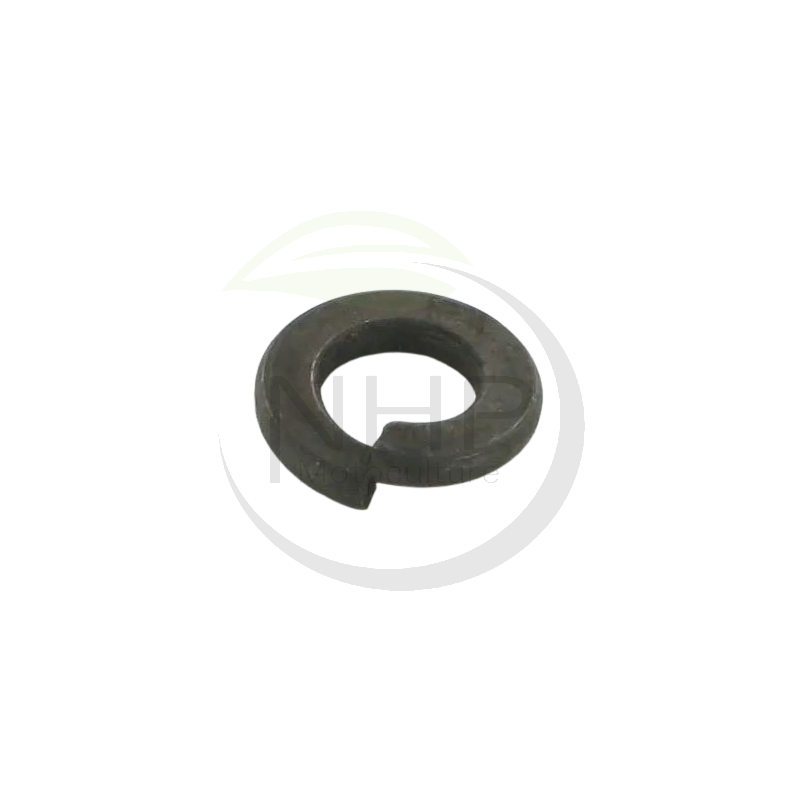 RDLE EVENT.A 6,4 ETESIA - WOLF 2233