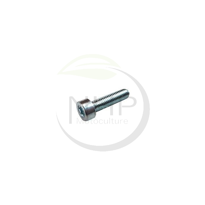 Vis tête Torx m5x20 MAKITA, DOLMAR, 266476-3, 908 005 205, 908005205