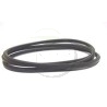 Courroie tracteur tondeuse GGP, Castelgarden, Honda, 135062018/0, 1350620180