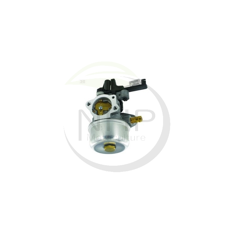Carburateur moteur Briggs et Stratton 799226