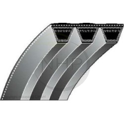 Courroie tracteur tondeuse WALKER 8230