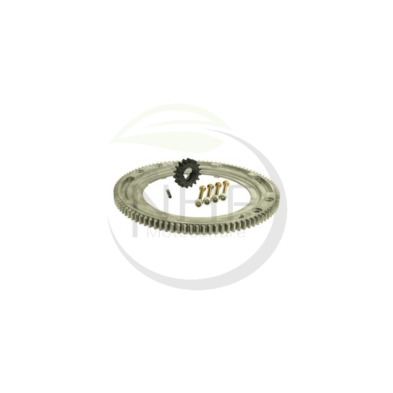 Couronne démarreur moteur Briggs et Stratton 399676, 392134, 696537
