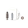 KIT POINTEAU ET SIEGE CARBURATEUR BRIGGS ET STRATTON 299096 - 394681