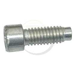 VIS FIXATION ECHAPPEMENT BRIGGS ET STRATTON 698941