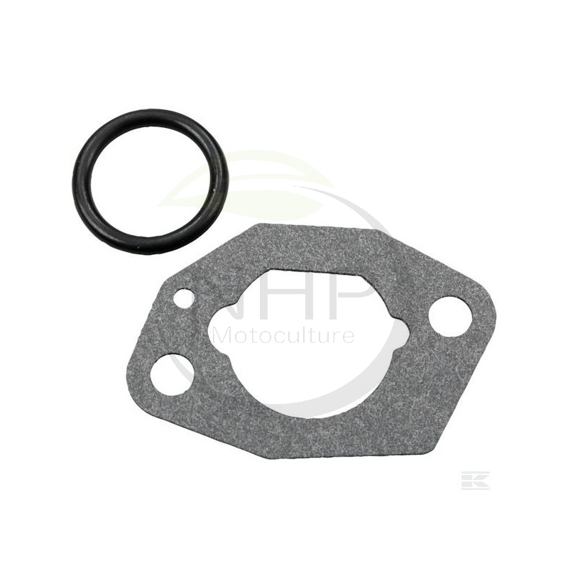 KIT JOINT CARBURATEUR GGP SV150 - 118550019/0 - 18550019/0 - 1136-1660-01 - 1185500190 - 185500190 - 1136166001