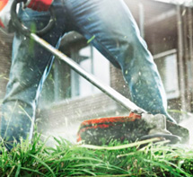 Nettoyer les bordures et vos haies Motoculture