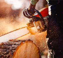 Tronçonner en toute sérénité et sécurité Motoculture